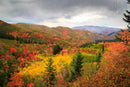 Photo Print: Autumn in the Wasatch Mountains - Dan Pearce Sticker Shop