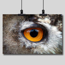 Photo Print: Castle in the Owl's Eye - Dan Pearce Sticker Shop