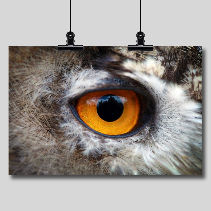 Photo Print: Castle in the Owl's Eye - Dan Pearce Sticker Shop