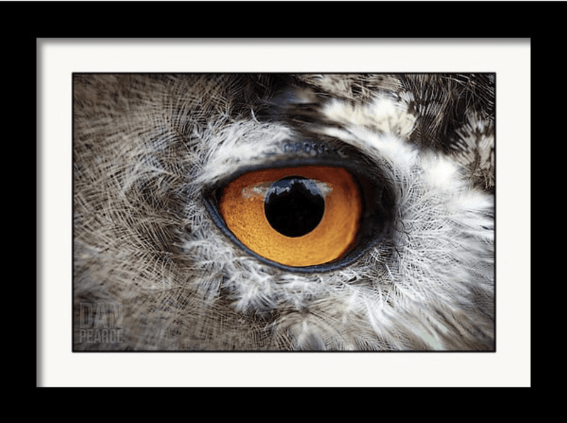 Photo Print: Castle in the Owl's Eye - Dan Pearce Sticker Shop