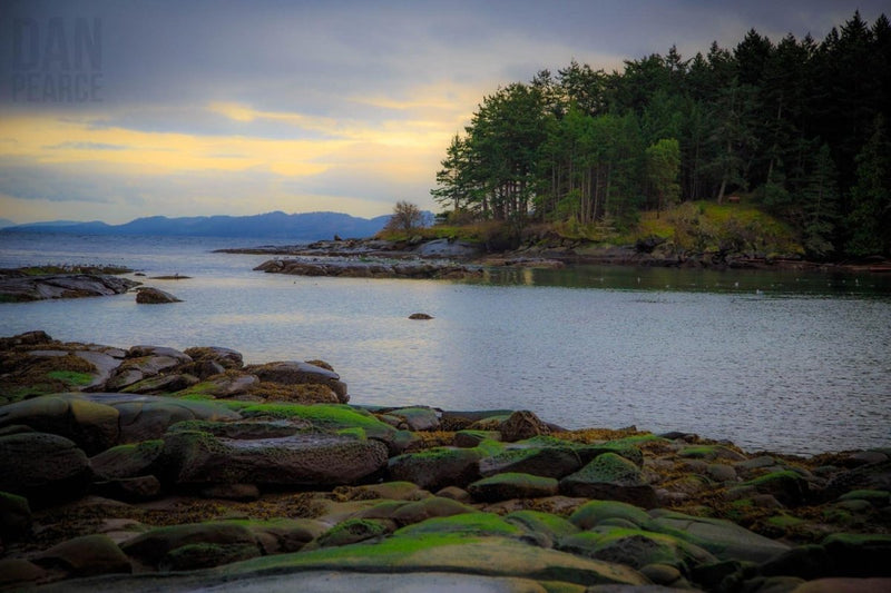 Photo Print: Galiano Island Inlet - Dan Pearce Sticker Shop