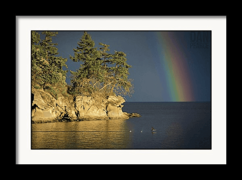 Photo Print: Island Rainbow with Duck Flying Through - Dan Pearce Sticker Shop