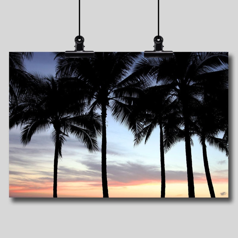 Photography Print: Palm Trees at Sunset - Dan Pearce Sticker Shop