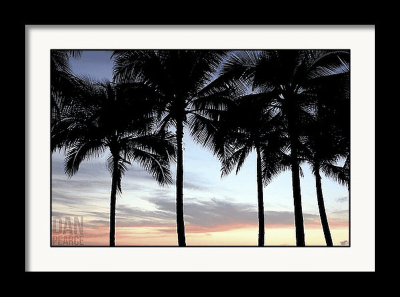 Photography Print: Palm Trees at Sunset - Dan Pearce Sticker Shop