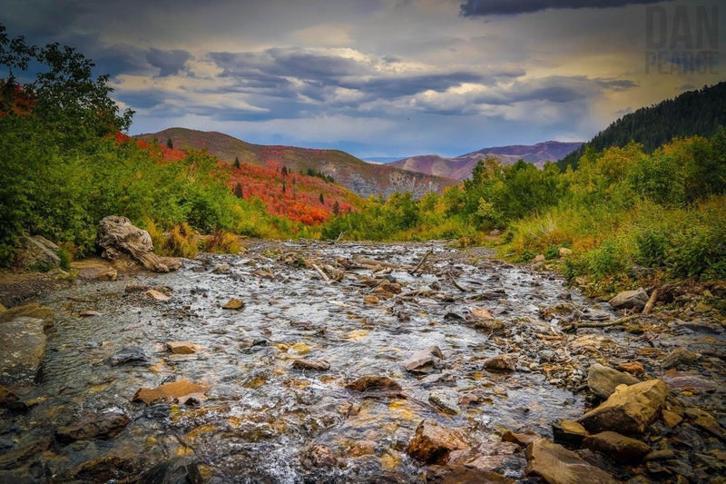 Photography Print: The Alpine Loop Autumn Scenery - Dan Pearce Sticker Shop