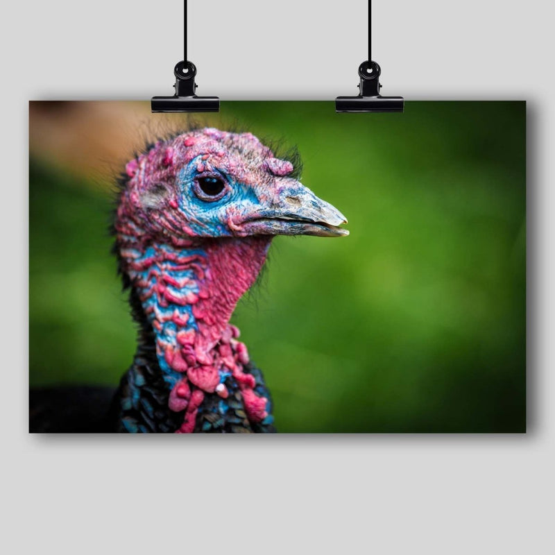 Photography Print: Turkey - Dan Pearce Sticker Shop