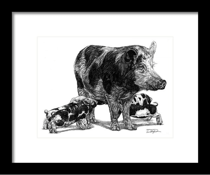 "Pigs" Fine Art Print - Dan Pearce Sticker Shop