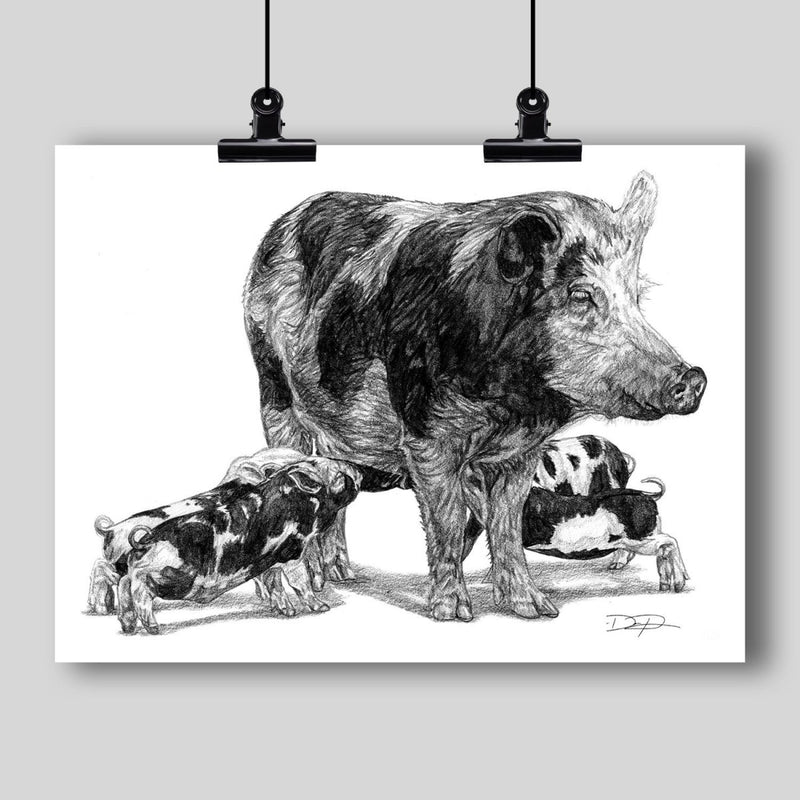 "Pigs" Fine Art Print - Dan Pearce Sticker Shop