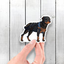 Rottweiler Robot - Vinyl Sticker - Dan Pearce Sticker Shop