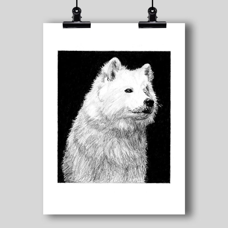 Samoyed Dog Fine Art Print - Dan Pearce Sticker Shop