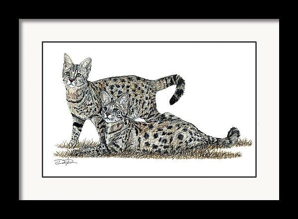 Savannah Cats Fine Art Print - Dan Pearce Sticker Shop