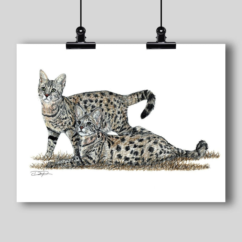 Savannah Cats Fine Art Print - Dan Pearce Sticker Shop