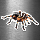 Tarantula Robot - Vinyl Sticker - Dan Pearce Sticker Shop