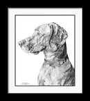 Vizsla Dog Fine Art Print - Dan Pearce Sticker Shop
