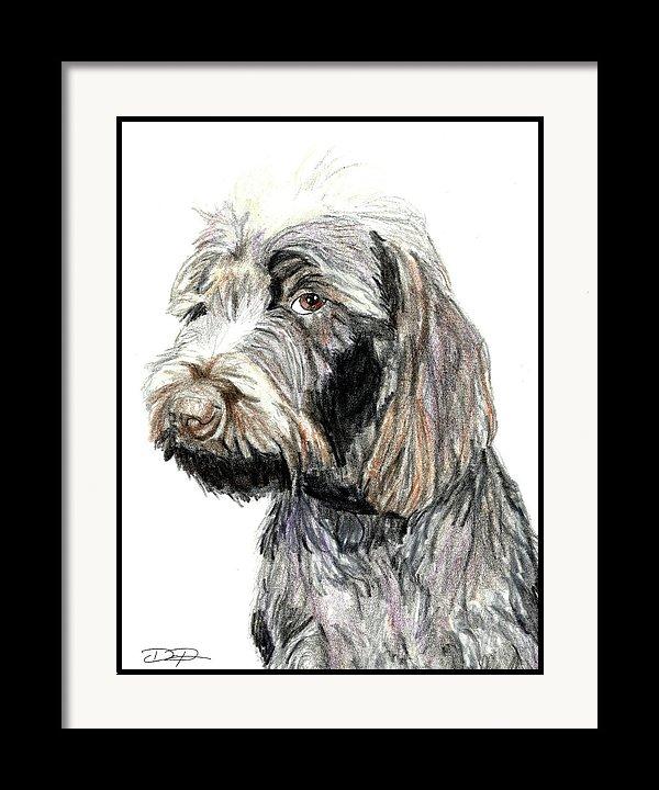 Wirehaired Pointing Griffon Dog Fine Art Print - Dan Pearce Sticker Shop