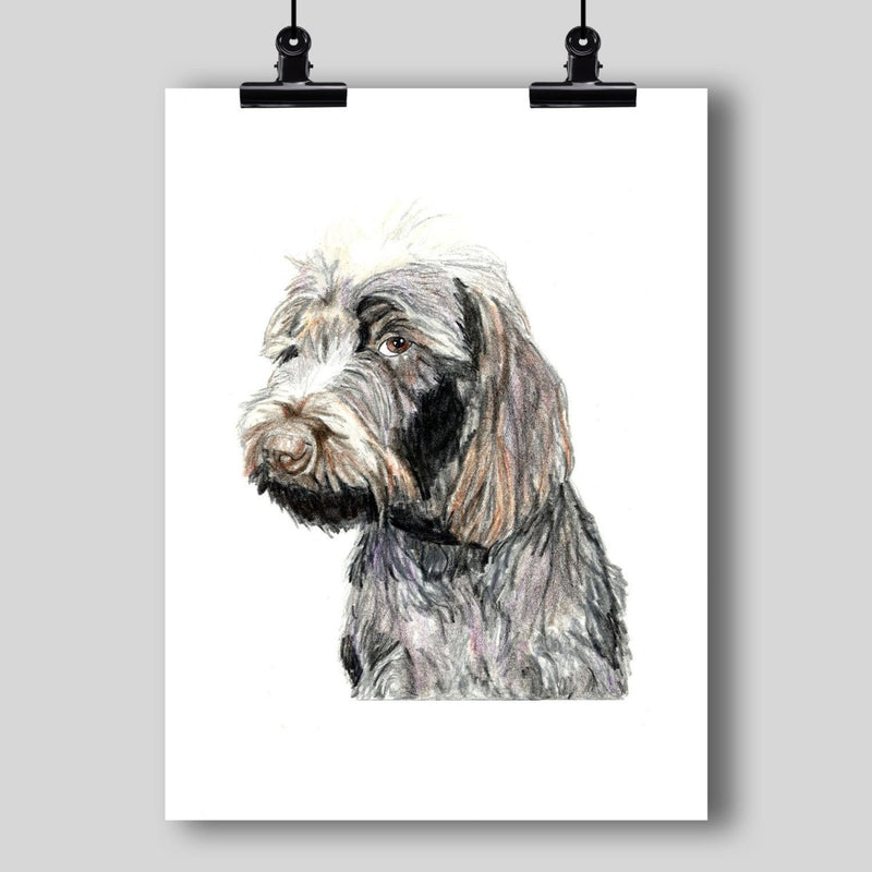 Wirehaired Pointing Griffon Dog Fine Art Print - Dan Pearce Sticker Shop